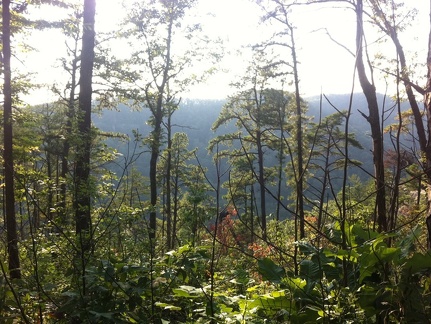 Auxier Ridge, a year after the fire